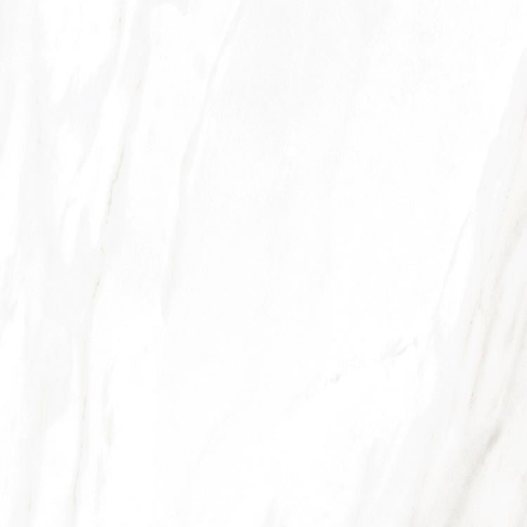 EC Calacatta Gold Polished 24 x 24 - Hexagon Interiors