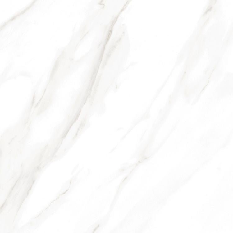 EC Calacatta Gold Polished 24 x 24