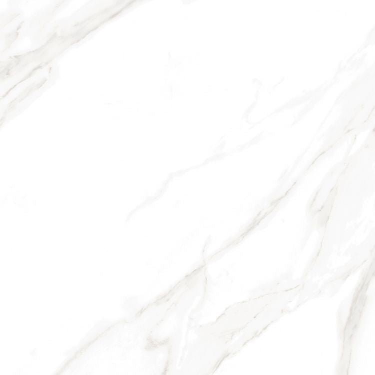 EC Calacatta Gold Polished 24 x 24