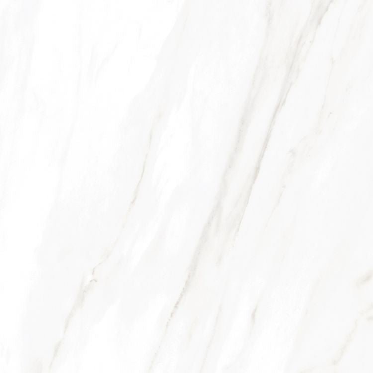 EC Calacatta Gold Polished 24 x 24