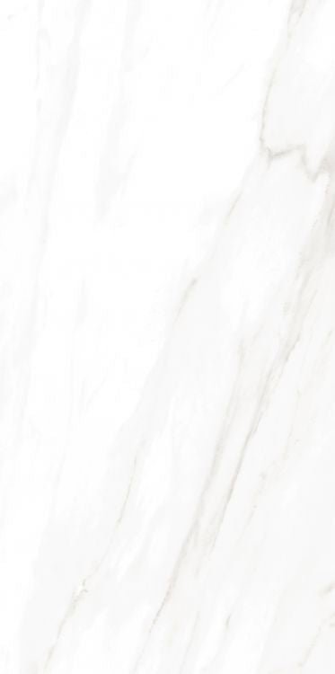 EC Calacatta Gold Polished 24 x 48