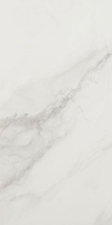 EC Snow Polished 12 x 24