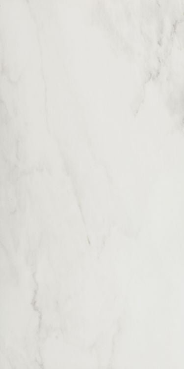 EC Snow Polished 24 x 48