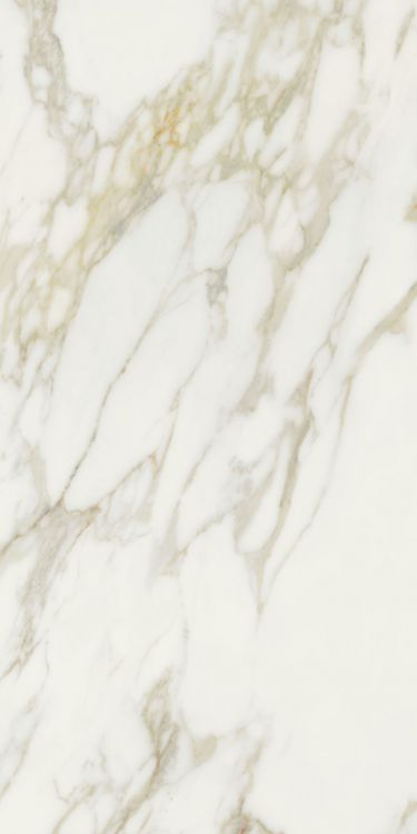 Etoile Creme Matte 24 x 48