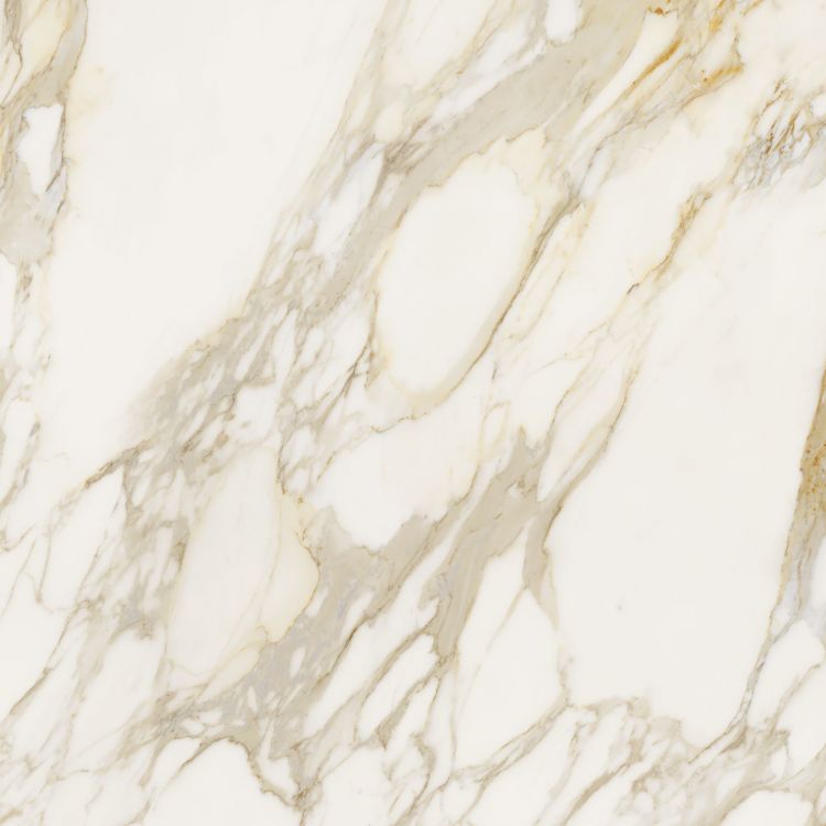 Etoile Creme Matte 48 x 48