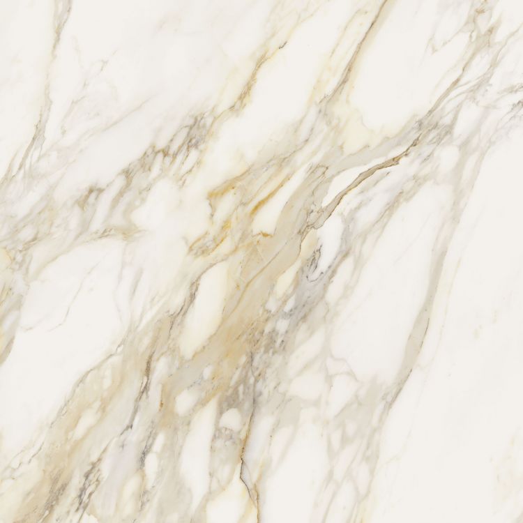 Etoile Creme Matte 48 x 48