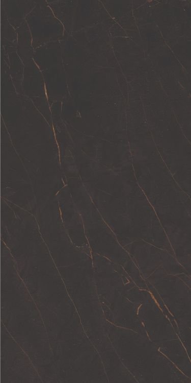 Galaxia Black Levigato (R/L) 12 x 24