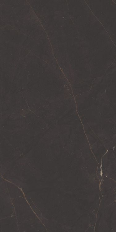 Galaxia Black Levigato (R/L) 12 x 24