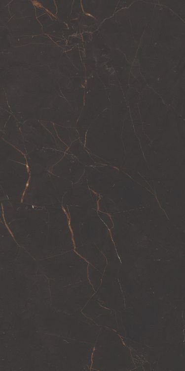 Galaxia Black Levigato (R/L) 12 x 24