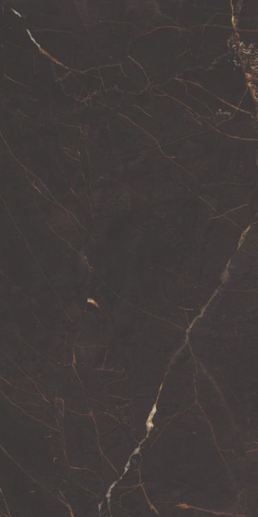 Galaxia Black Levigato (R/L) 12 x 24