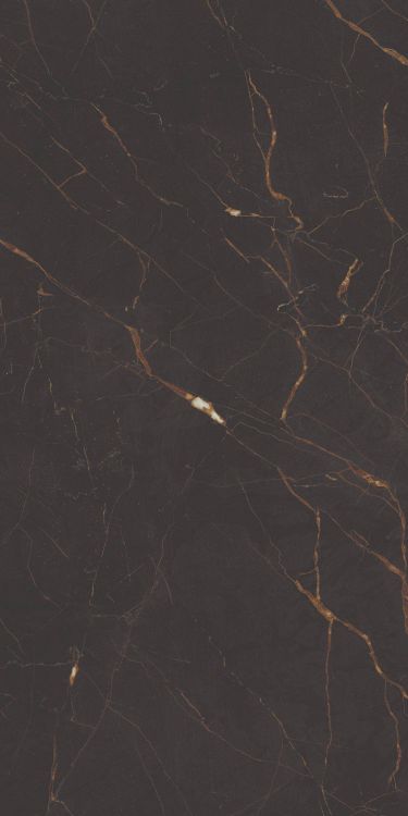 Galaxia Black Levigato (R/L) 12 x 24