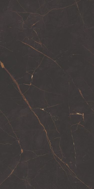 Galaxia Black Levigato (R/L) 12 x 24