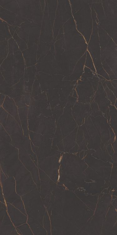 Galaxia Black Levigato (R/L) 12 x 24