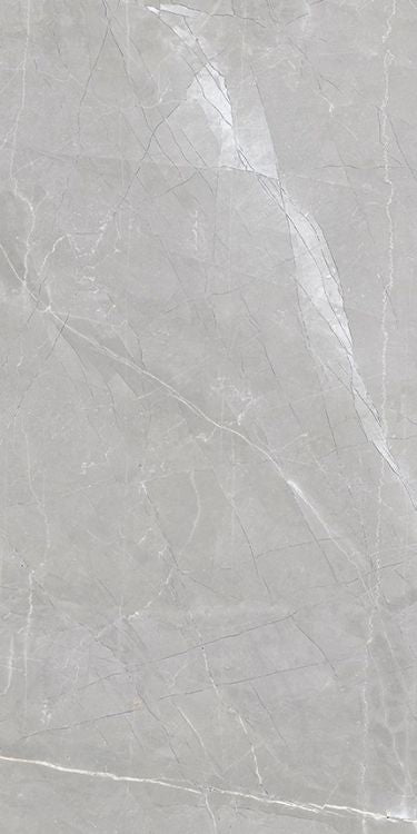 Luxury Amani Grey Matte 12 x 24