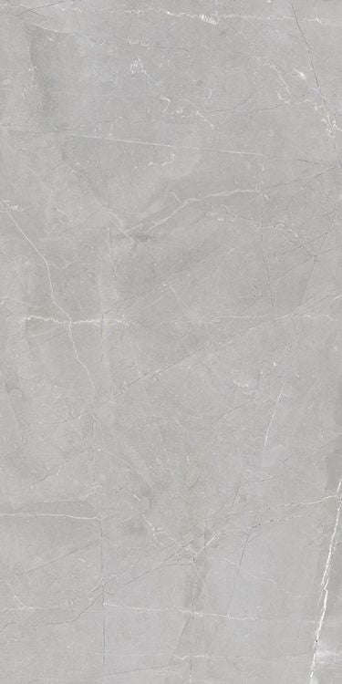 Luxury Amani Grey Matte 12 x 24