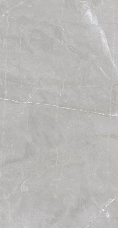 Luxury Amani Grey Matte 24 x 48