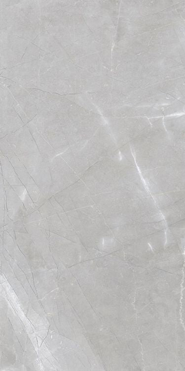 Luxury Amani Grey Polished 12 x 24