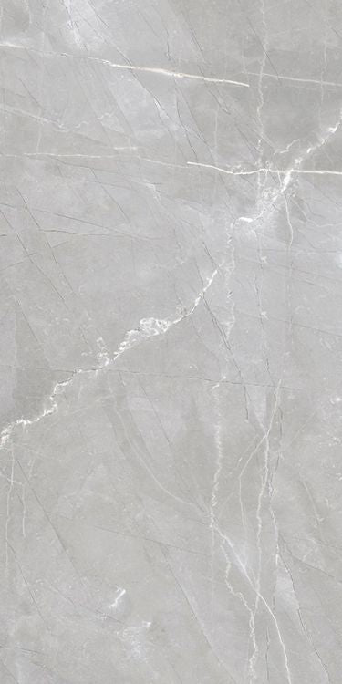 Luxury Amani Grey Polished 12 x 24