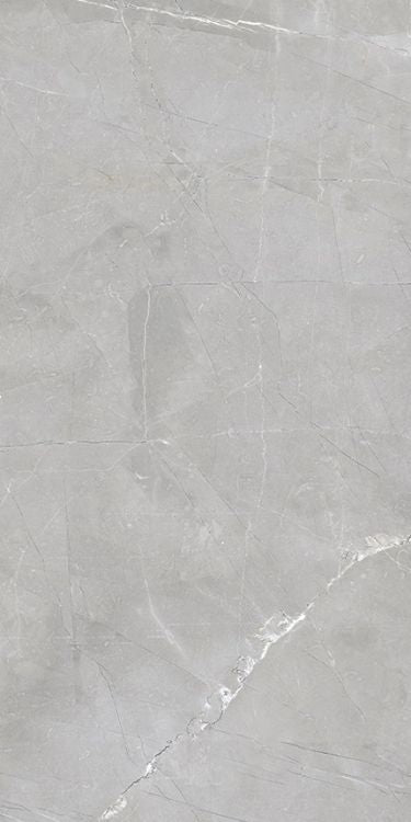 Luxury Amani Grey Polished 12 x 24