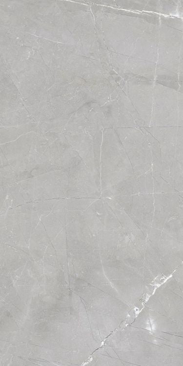 Luxury Amani Grey Polished 12 x 24