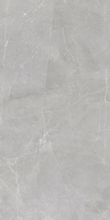 Luxury Amani Grey Polished 12 x 24