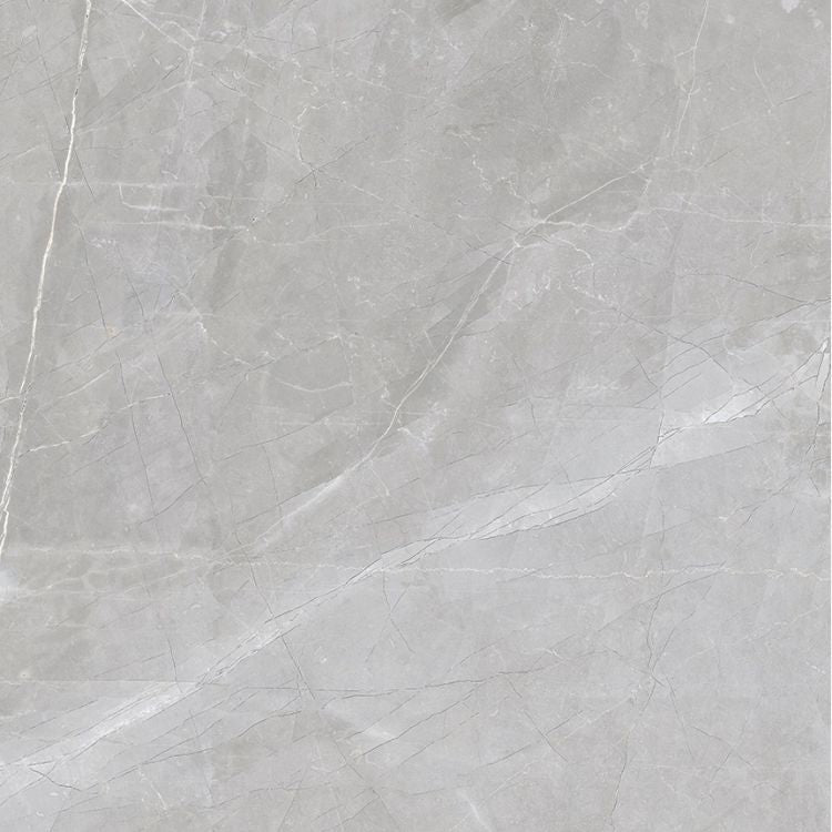 Luxury Amani Grey Polished 24 x 24