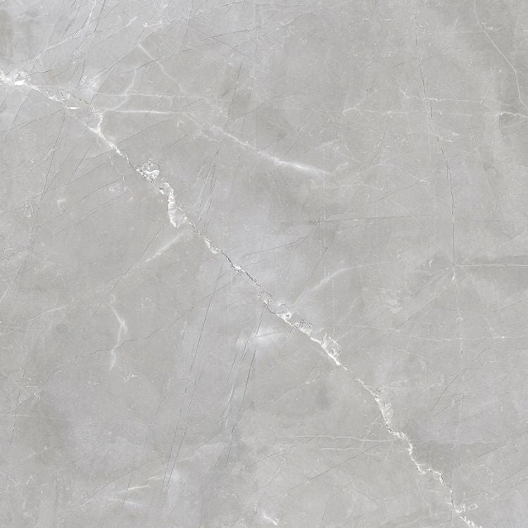 Luxury Amani Grey Polished 24 x 24