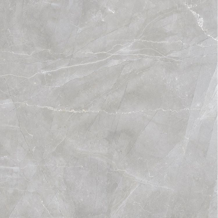 Luxury Amani Grey Polished 24 x 24