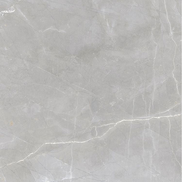 Luxury Amani Grey Polished 24 x 24