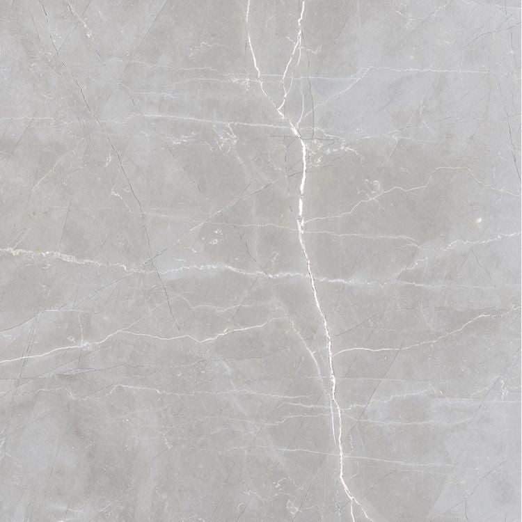 Luxury Amani Grey Polished 24 x 24
