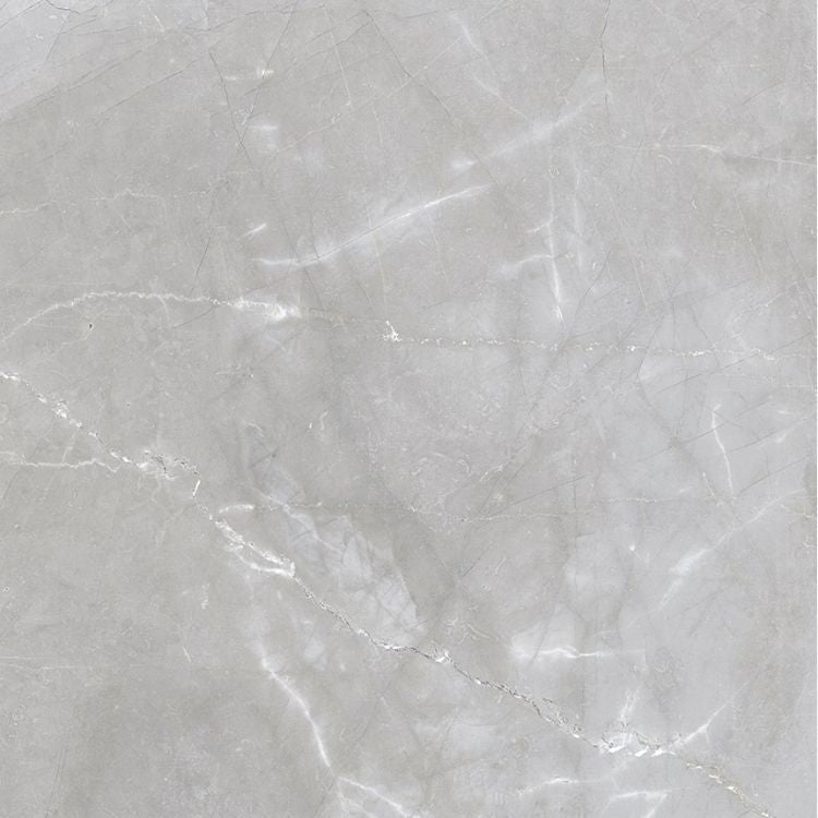 Luxury Amani Grey Polished 24 x 24