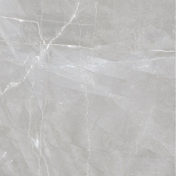 Luxury Amani Grey Polished 24 x 24