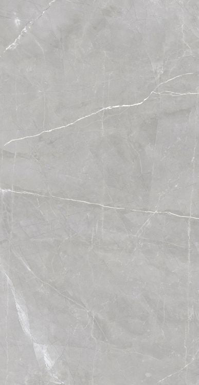 Luxury Amani Grey Polished 24 x 48
