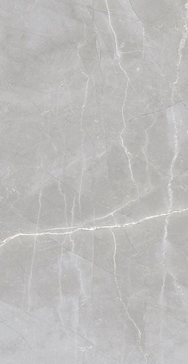 Luxury Amani Grey Polished 24 x 48