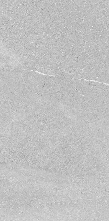 Madison Argent 12 x 24