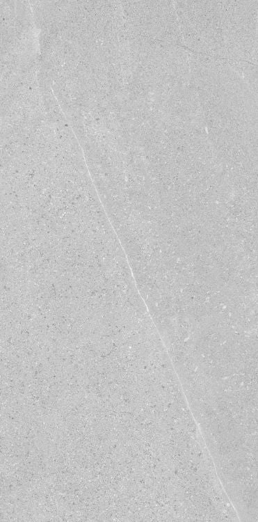 Madison Argent 12 x 24