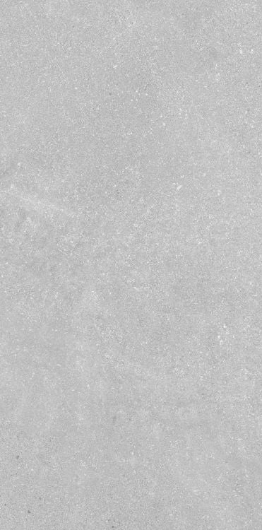 Madison Argent 12 x 24