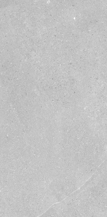 Madison Argent 12 x 24