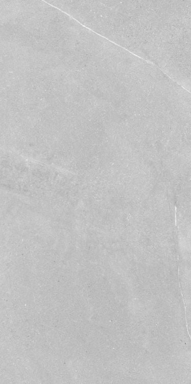 Madison Argent 24 x 48