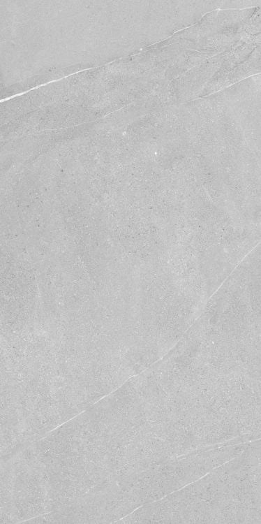 Madison Argent 24 x 48 - Hexagon Interiors