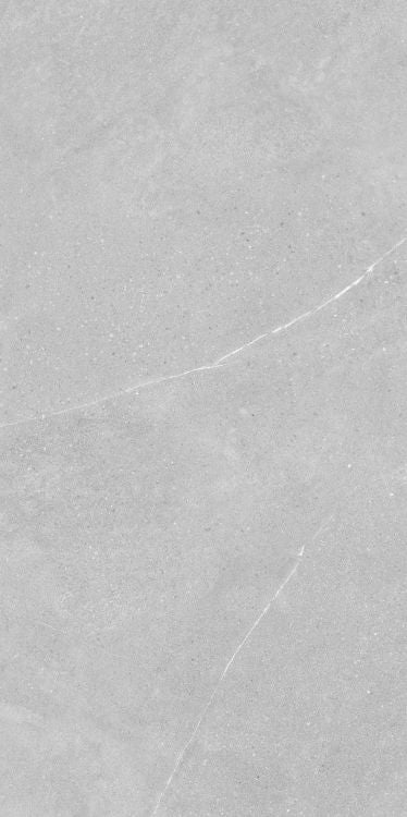 Madison Argent 24 x 48