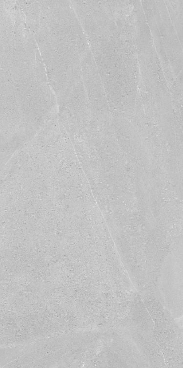 Madison Argent 24 x 48