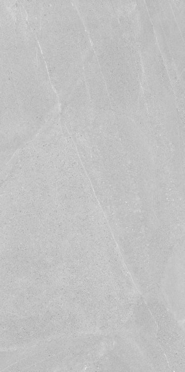 Madison Argent 24 x 48