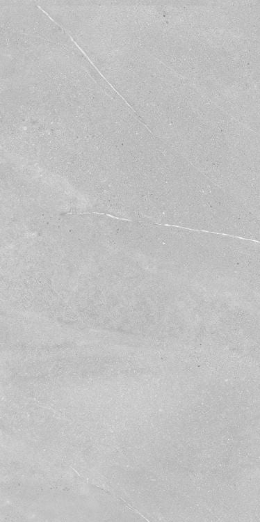 Madison Argent 24 x 48