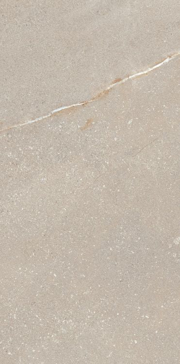 Madison Bone 12 x 24