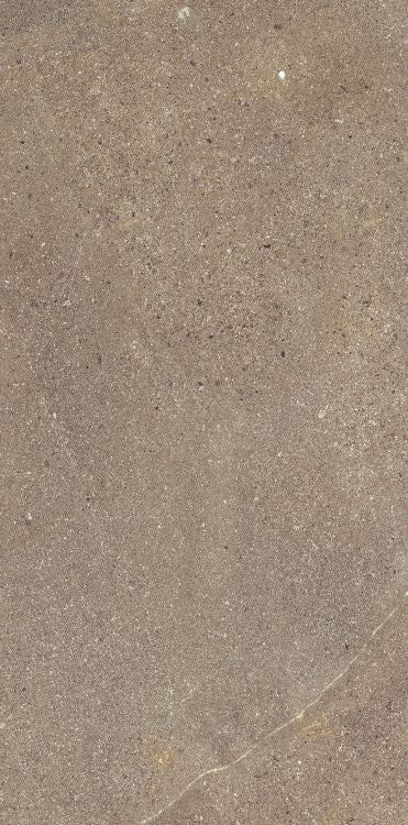 Madison Noce 12 x 24