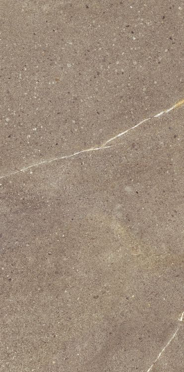 Madison Noce 12 x 24