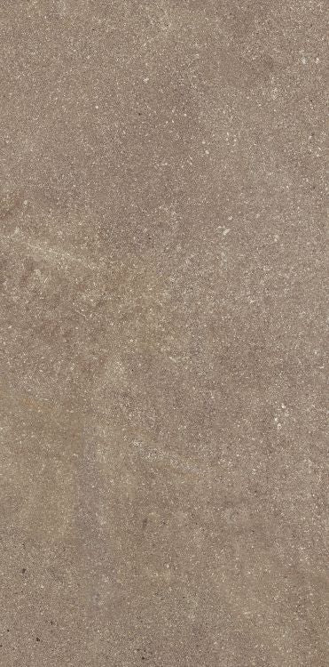 Madison Noce 12 x 24