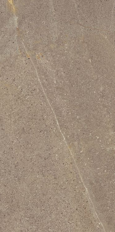 Madison Noce 12 x 24