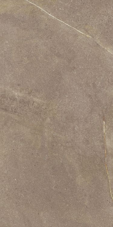 Madison Noce 24 x 48